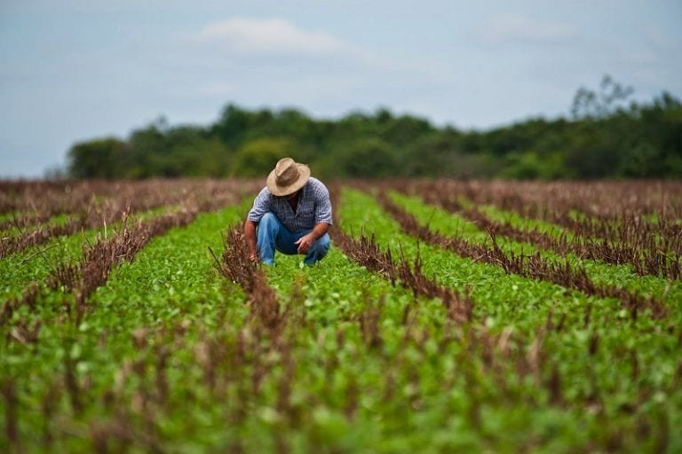 Apuntes sobre radiónica y agricultura. La importancia del equilibrio