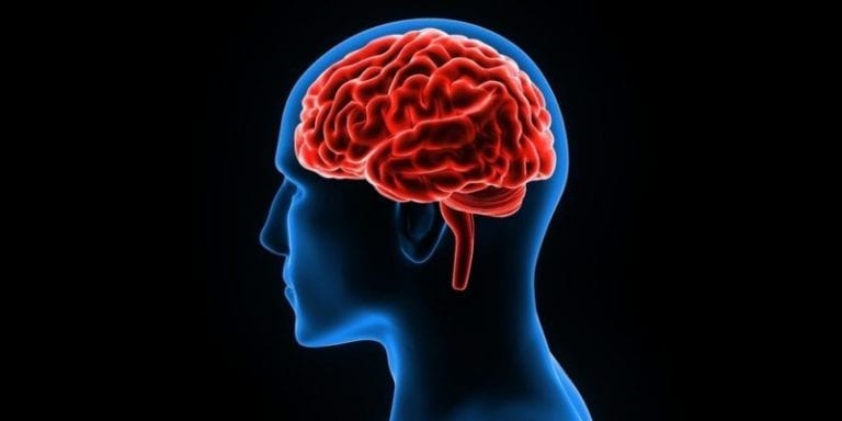 8 principles to keep a brain in perfect condition