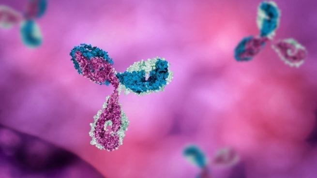 Fortalecer el organismo frente a las infecciones y virus (aclaración)