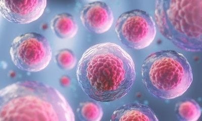 Strengthen your immune system the easy way