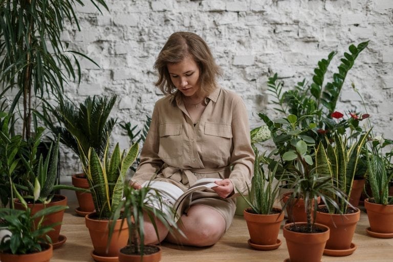 ¿Puede la radiónica influir sobre las plantas?