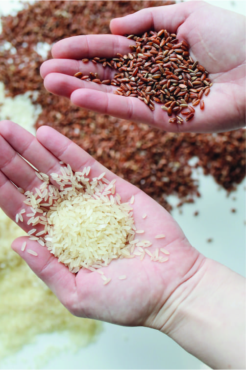 ¿Deberíamos eliminar el arroz blanco de nuestra dieta?