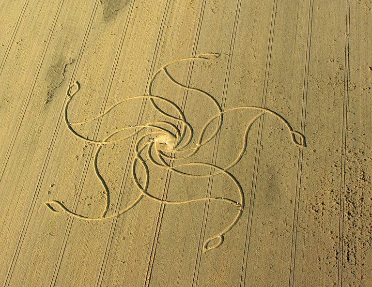 The amazing crop circles and radionics
