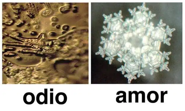The programming of water according to Dr. Masaru Emoto.