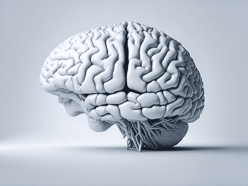 La Interacción Mente-Cuerpo en Radiónica: Energía, Conexión y Posibilidades