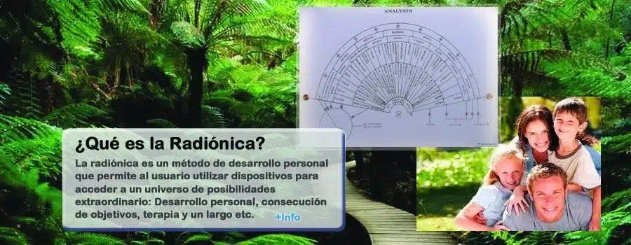 Cabecera WP2