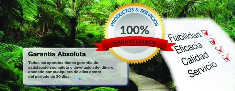 Cabecera WP3