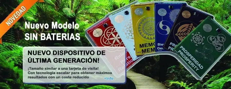 Cabecera WP8