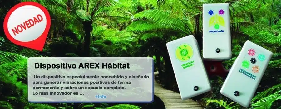 Cabecera WP9